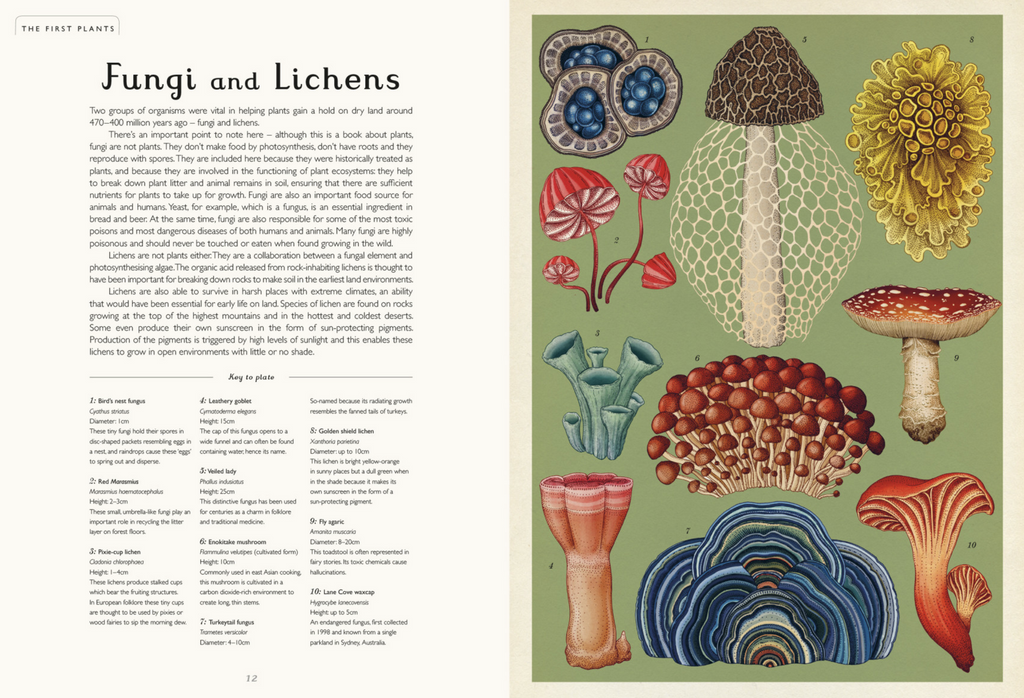 Botanicum: Welcome to the Museum book pdf